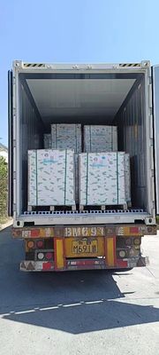 NCR Copy Paper A Grade Small Black/ Blue Image 50/55/75GSM Carbonless Paper