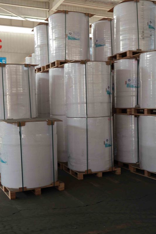 BPA-Free Thermal Paper Roll for POS Receipts, ATM printer paper, oil-resistant thermal roll – 5+ Year Image Life