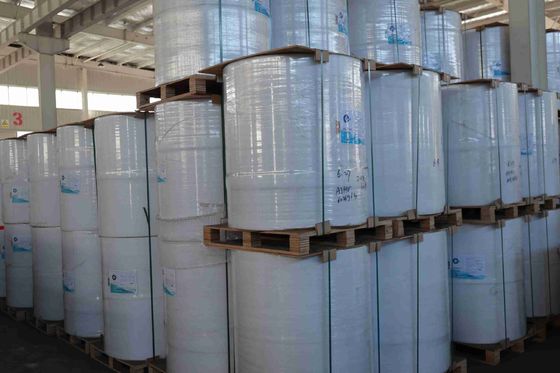 100% de pâte de bois vierge importée, papier thermique sans BPA, haute douceur, forte tension, longue durée de vie