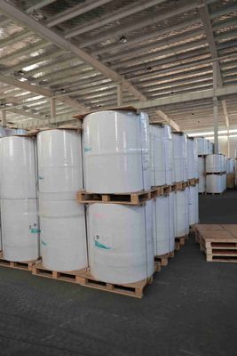 Rouleau de papier thermique sans BPA pour reçus de point de vente, papier d'imprimante de guichet automatique, rouleau thermique résistant à l'huile – Durée de vie de l'image de plus de 5 ans