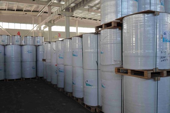 Papeterie thermique de marque sans concentrateur de BPA, haute douceur, densité optique appropriée, 100% pâte de bois importée